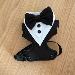 Black Dog Harness with Reflective Stitching